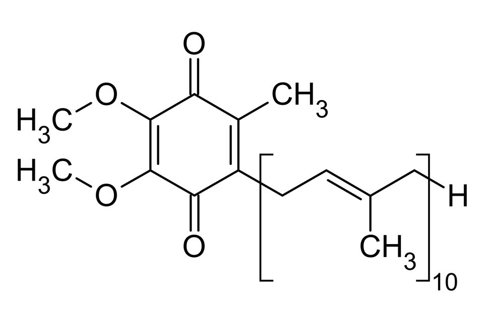 absorption base